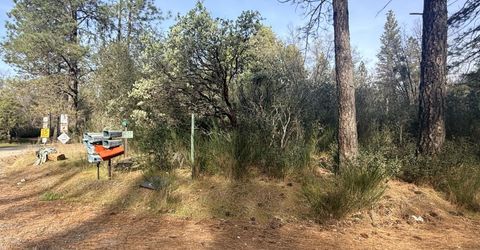 10986 Tyler Foote Crossing Rd, Nevada City, CA 95959 Photo