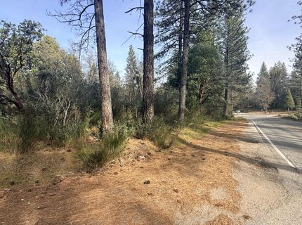 10986 Tyler Foote Crossing Rd, Nevada City, CA 95959 Photo