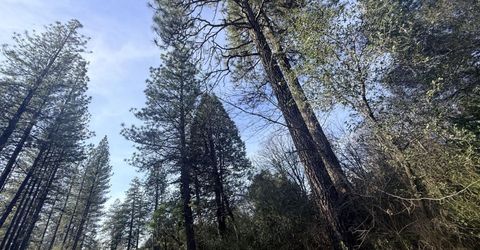 10986 Tyler Foote Crossing Rd, Nevada City, CA 95959 Photo