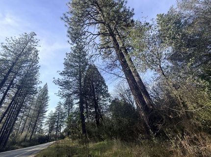 10986 Tyler Foote Crossing Rd, Nevada City, CA 95959 Photo