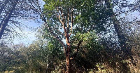 10986 Tyler Foote Crossing Rd, Nevada City, CA 95959 Photo