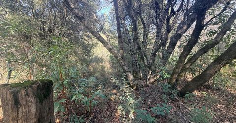 10986 Tyler Foote Crossing Rd, Nevada City, CA 95959 Photo