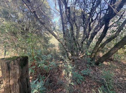 10986 Tyler Foote Crossing Rd, Nevada City, CA 95959 Photo