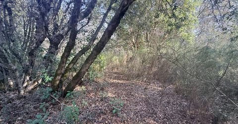 10986 Tyler Foote Crossing Rd, Nevada City, CA 95959 Photo