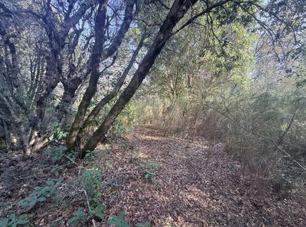 10986 Tyler Foote Crossing Rd, Nevada City, CA 95959 Photo