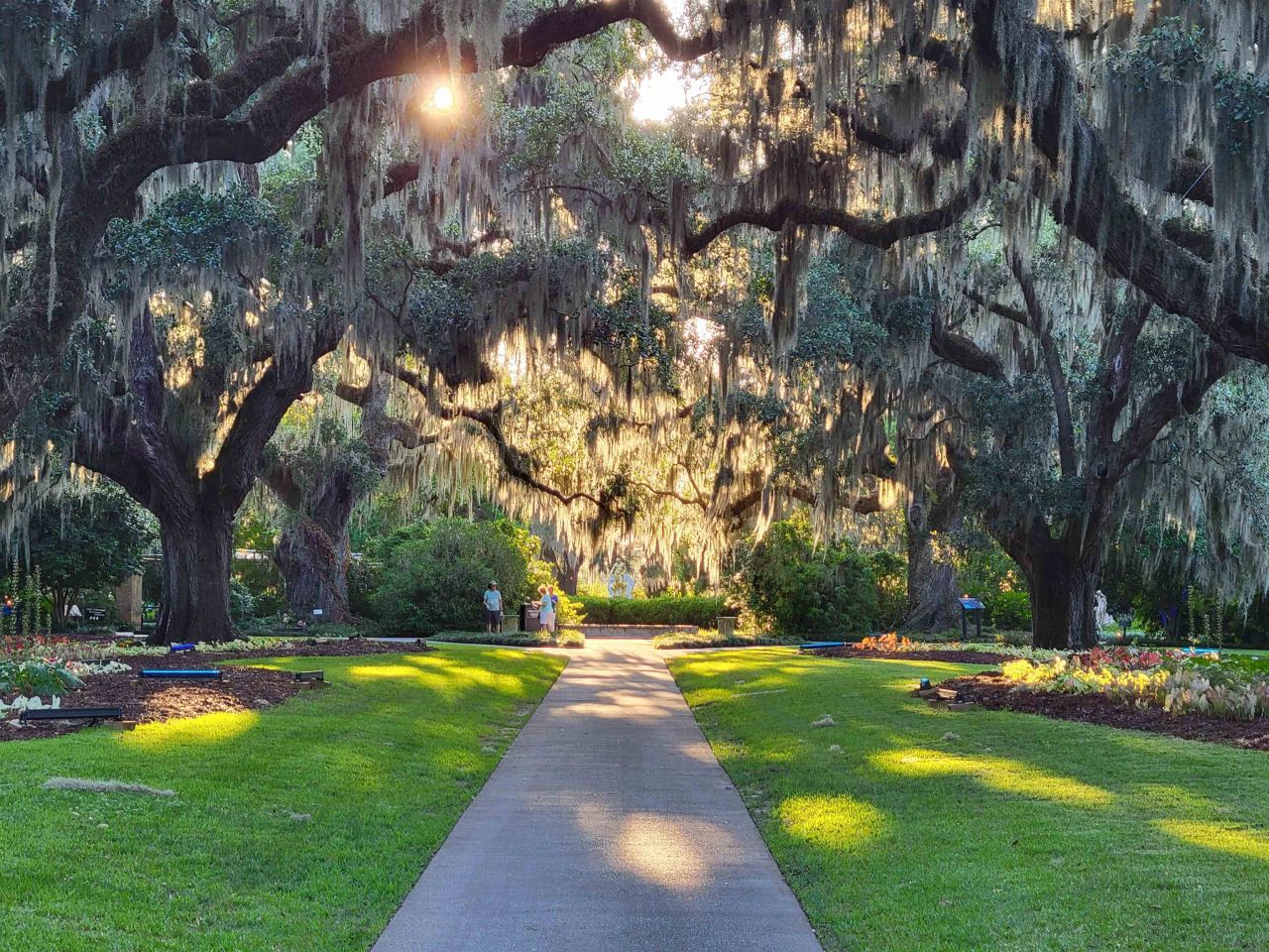 82 Mingo Dr. Photo 35