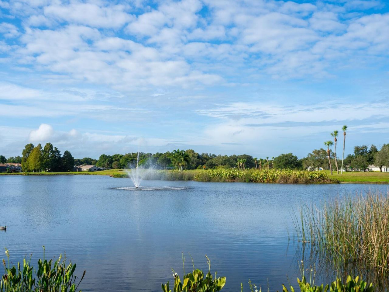 6311 Turners Gap Road, Bradenton, FL 34203 Photo