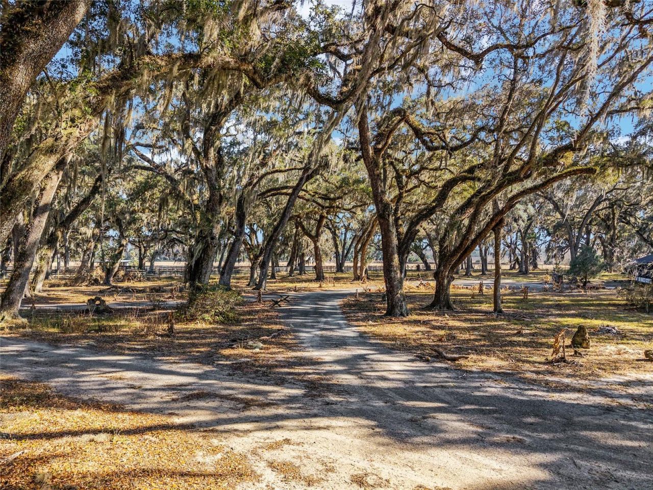 15178 NE 47th Avenue, Citra, FL 32113 Photo