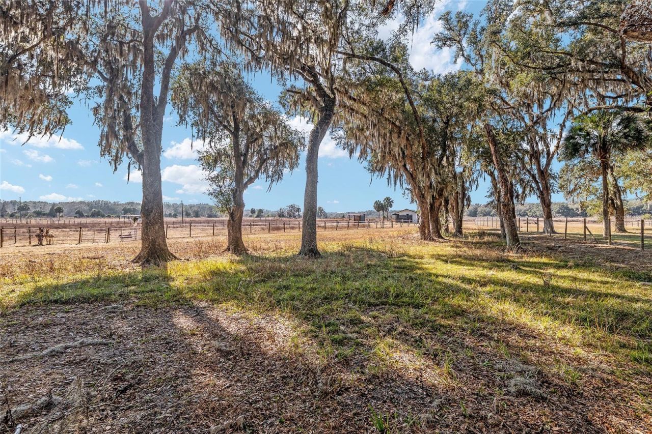 15178 NE 47th Avenue, Citra, FL 32113 Photo