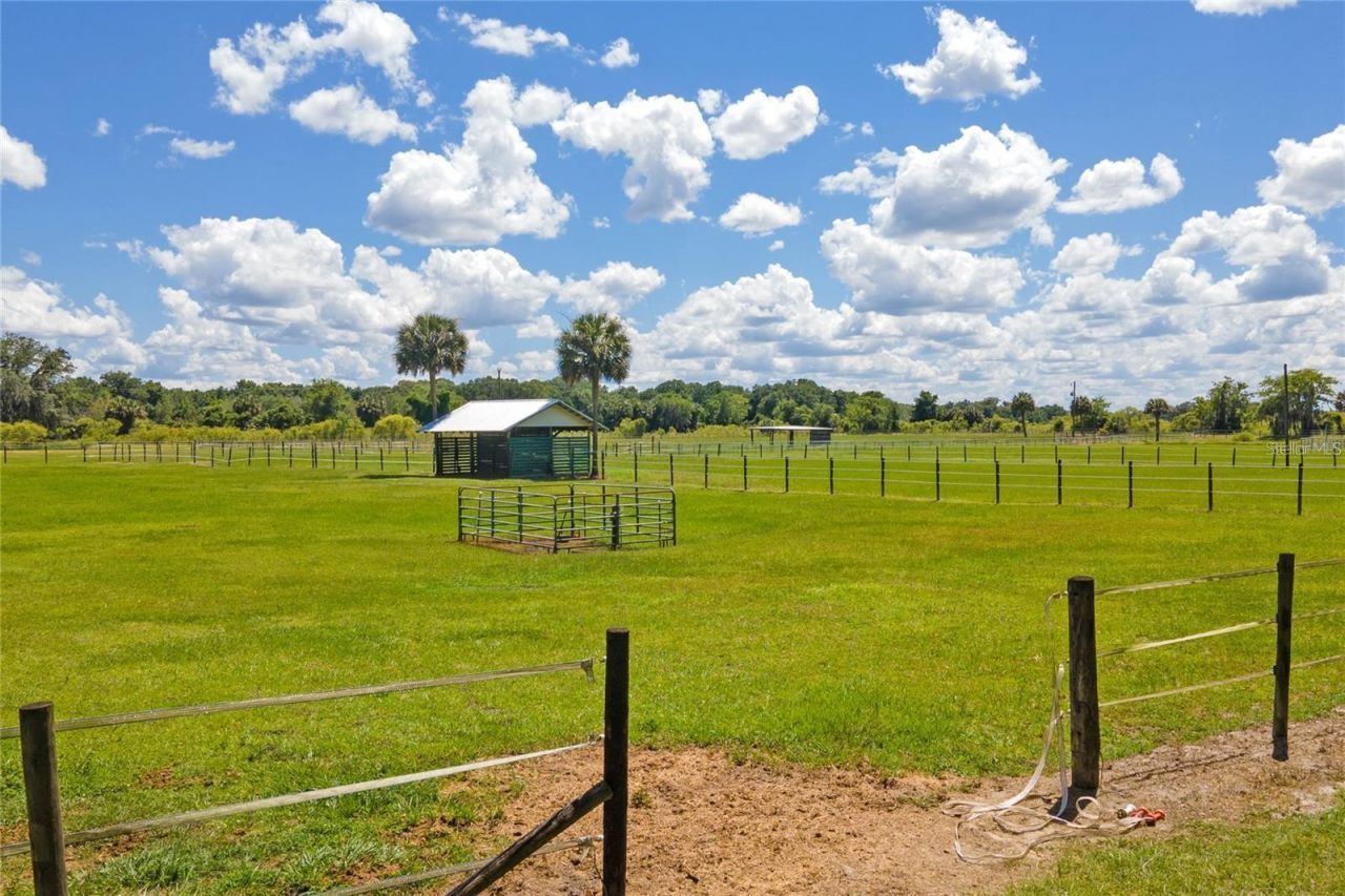 15178 NE 47th Avenue, Citra, FL 32113 Photo