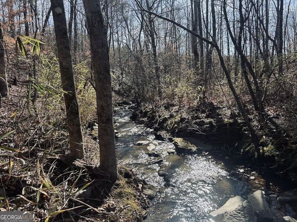 0 Old Highway 431, Unit TRACT 1, Wedowee, AL 36278