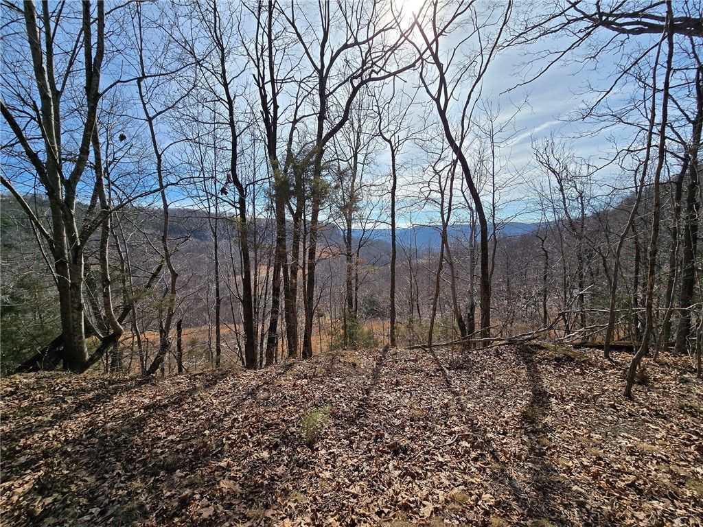 0000 Horseshoe Canyon Ranch (nc 8154), Jasper, AR 72641 Main Photo