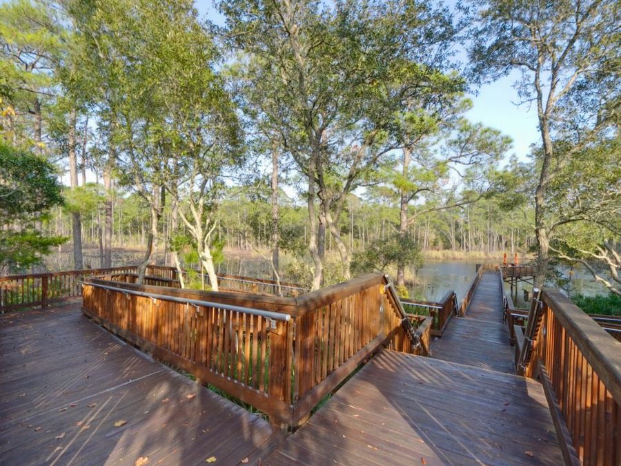Property Image 62