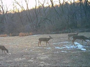 20401 E Bundschu Road, Independence, MO 64056