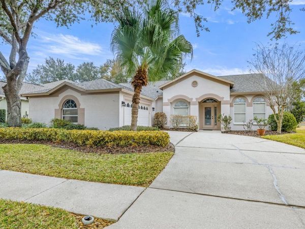 10246 TIMBERLAND POINT DR, TAMPA, FL 33647