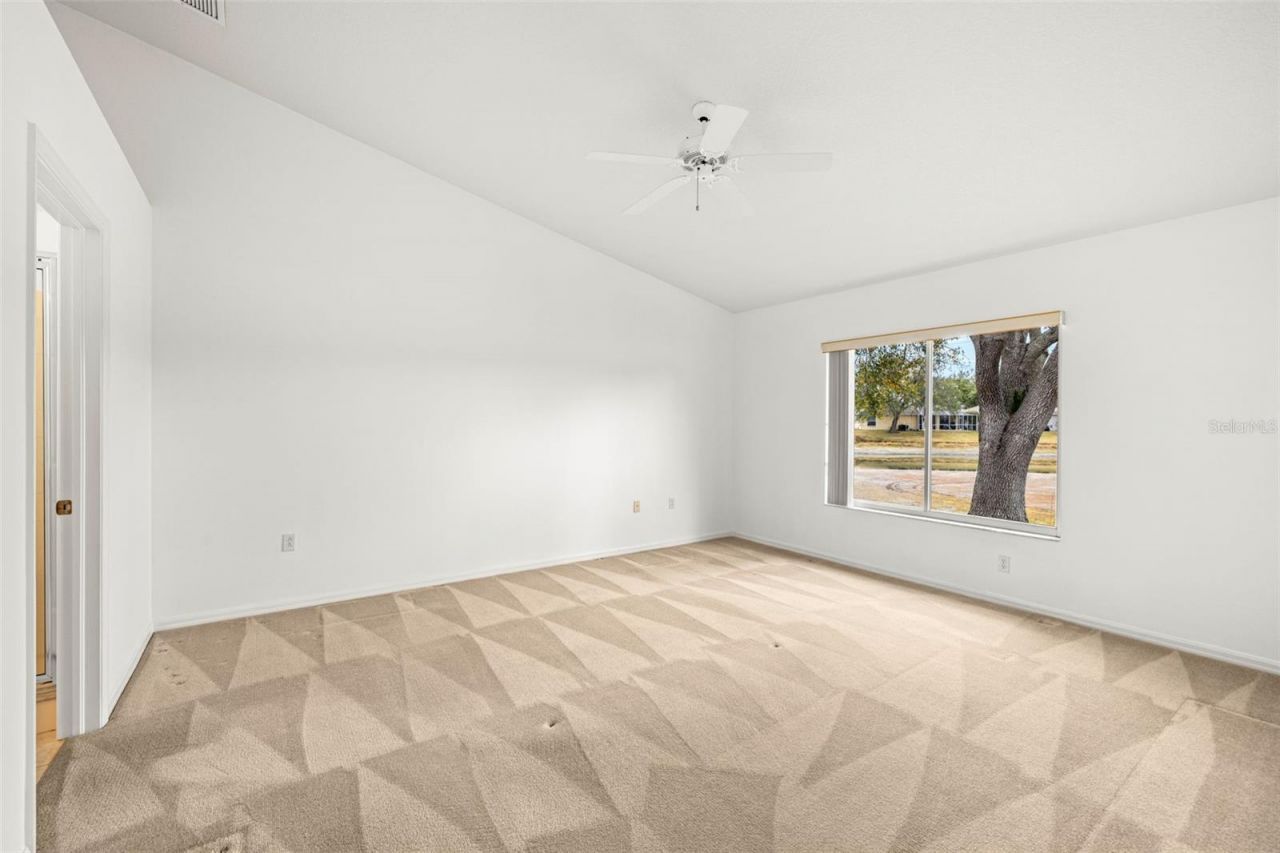 10246 Timberland Point Dr, Tampa, FL 33647 Photo