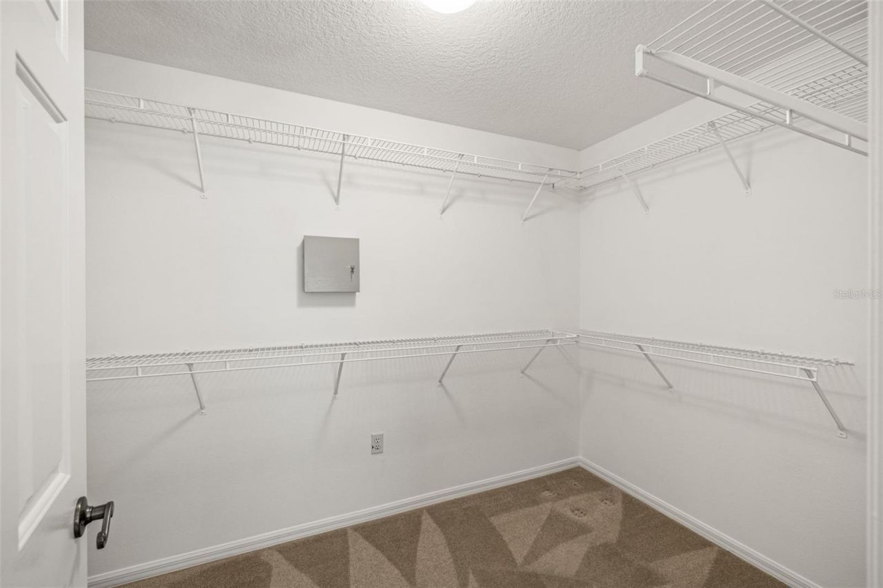 10246 Timberland Point Dr, Tampa, FL 33647 Photo
