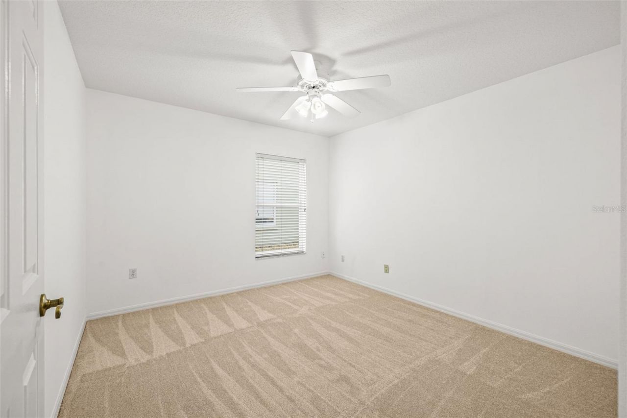 10246 Timberland Point Dr, Tampa, FL 33647 Photo