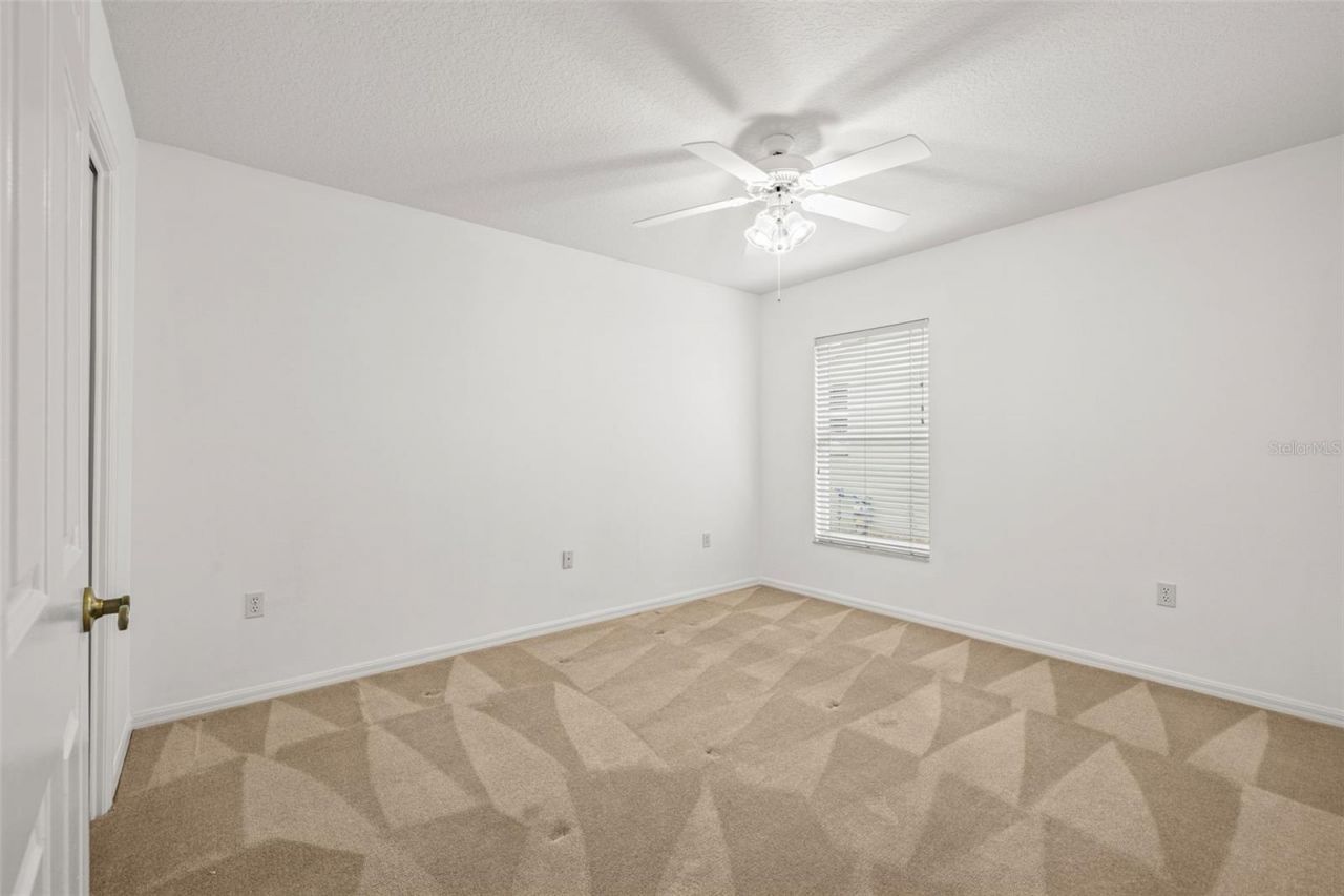 10246 Timberland Point Dr, Tampa, FL 33647 Photo