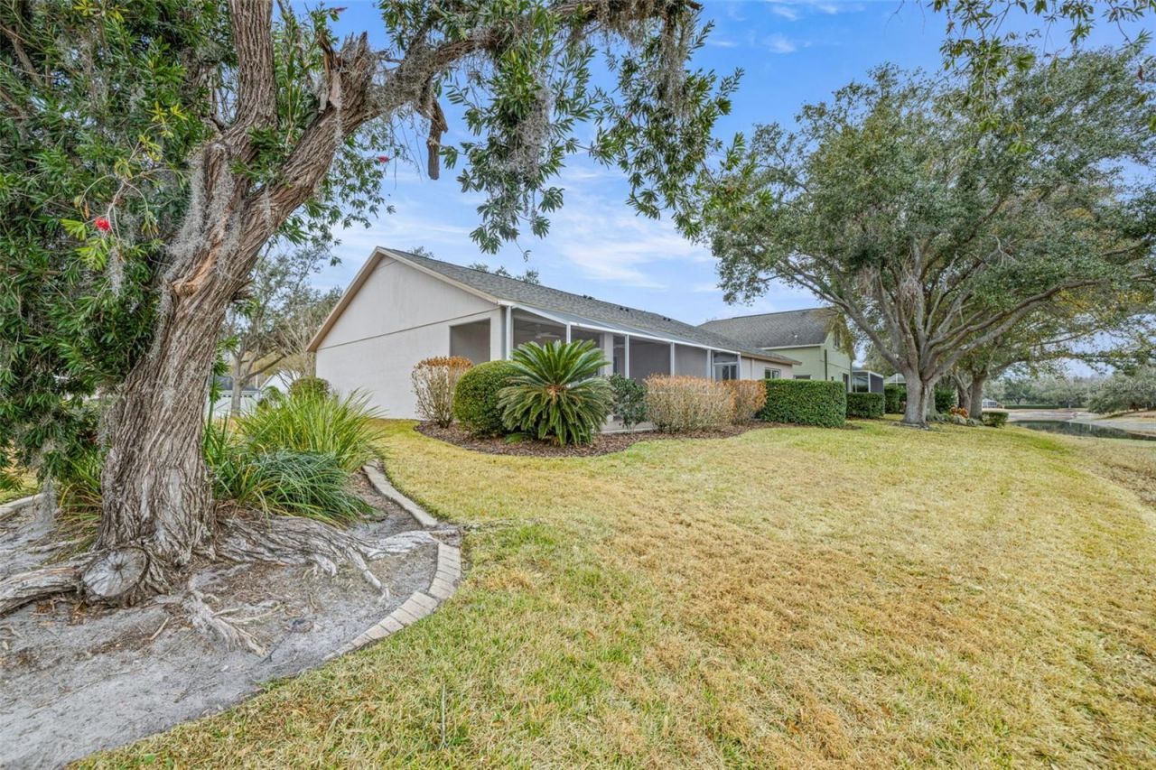 10246 Timberland Point Dr, Tampa, FL 33647 Photo