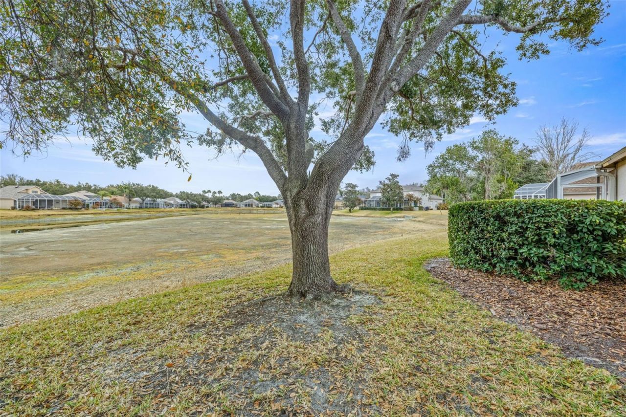 10246 Timberland Point Dr, Tampa, FL 33647 Photo