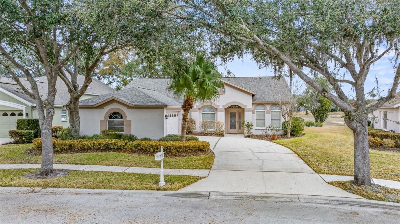 10246 Timberland Point Dr, Tampa, FL 33647 Photo