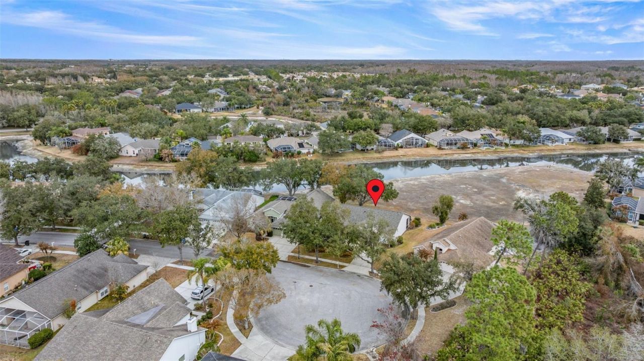 10246 Timberland Point Dr, Tampa, FL 33647 Photo