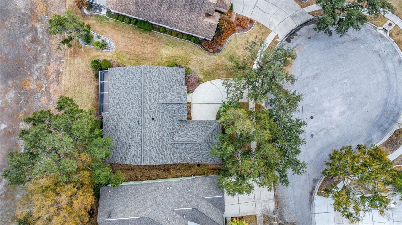 10246 Timberland Point Dr, Tampa, FL 33647 Photo
