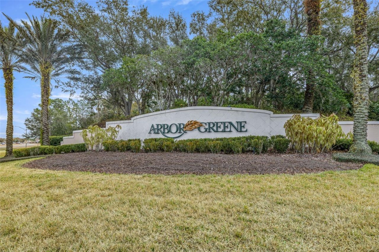 10246 Timberland Point Dr, Tampa, FL 33647 Photo
