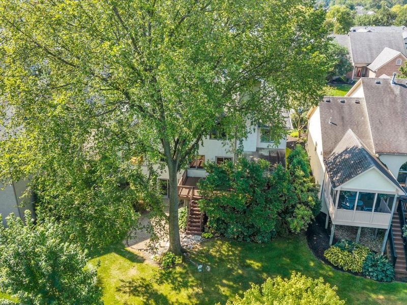 962 Augusta Glen Drive, Columbus, OH 43235 Photo 30