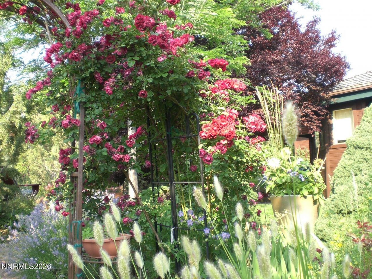 4055 Plateau Road, Reno, NV 89519 Photo