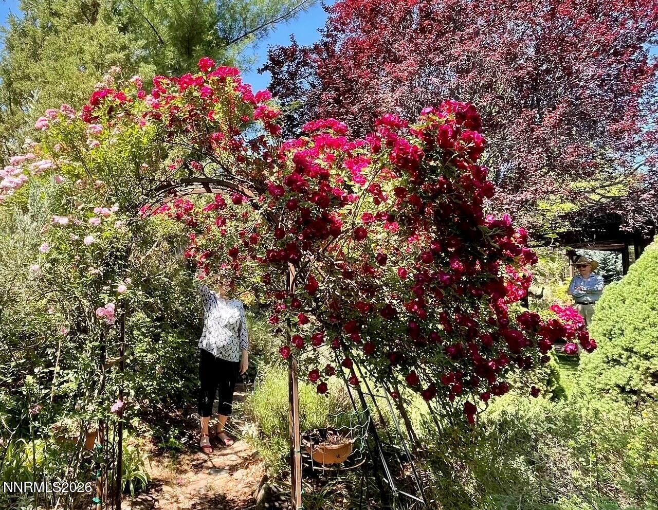 4055 Plateau Road, Reno, NV 89519 Photo