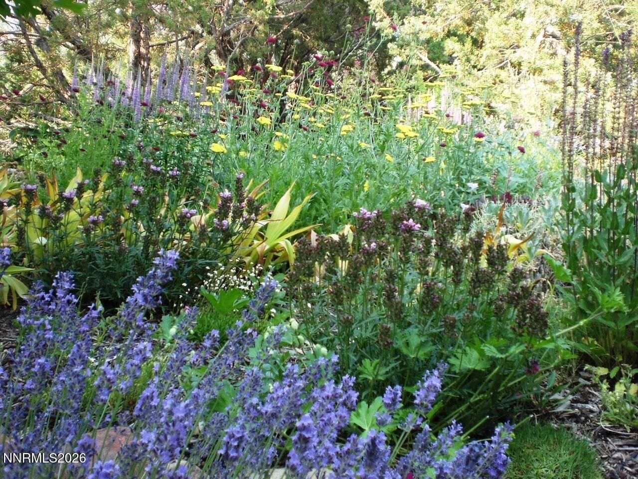 4055 Plateau Road, Reno, NV 89519 Photo