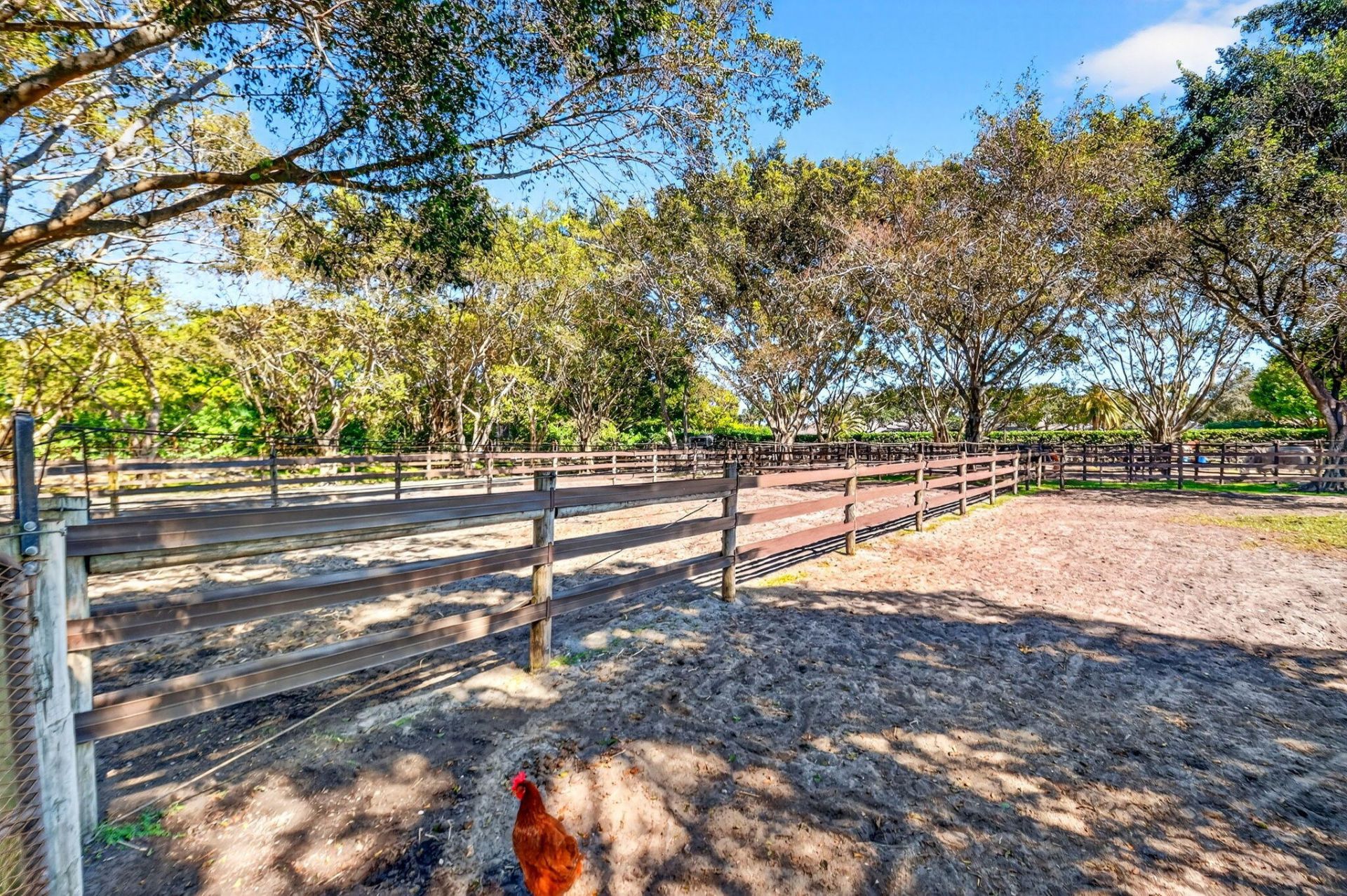 3405 Olde Hampton Drive, Wellington, FL 33414 Photo