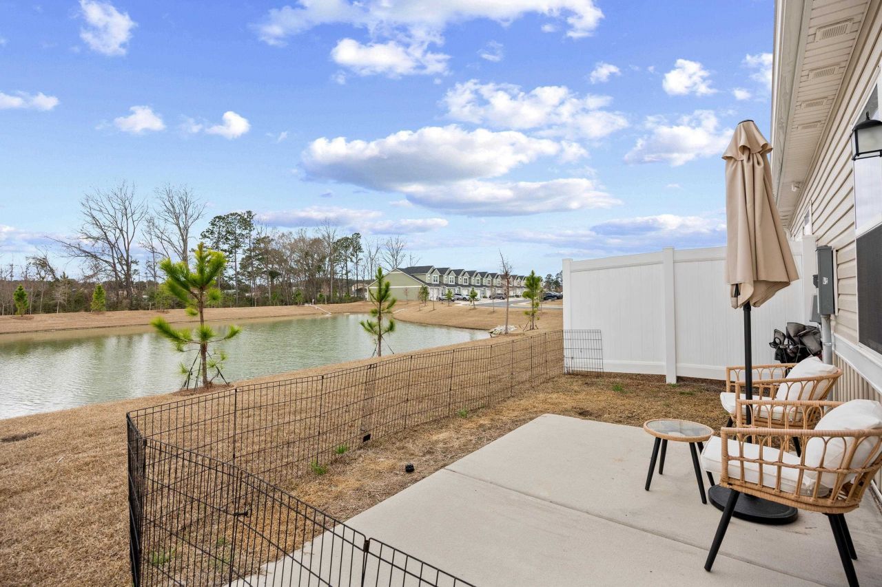 1141 Blueback Herring Way Photo 34