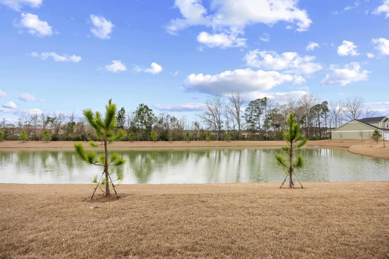 1141 Blueback Herring Way Photo 37