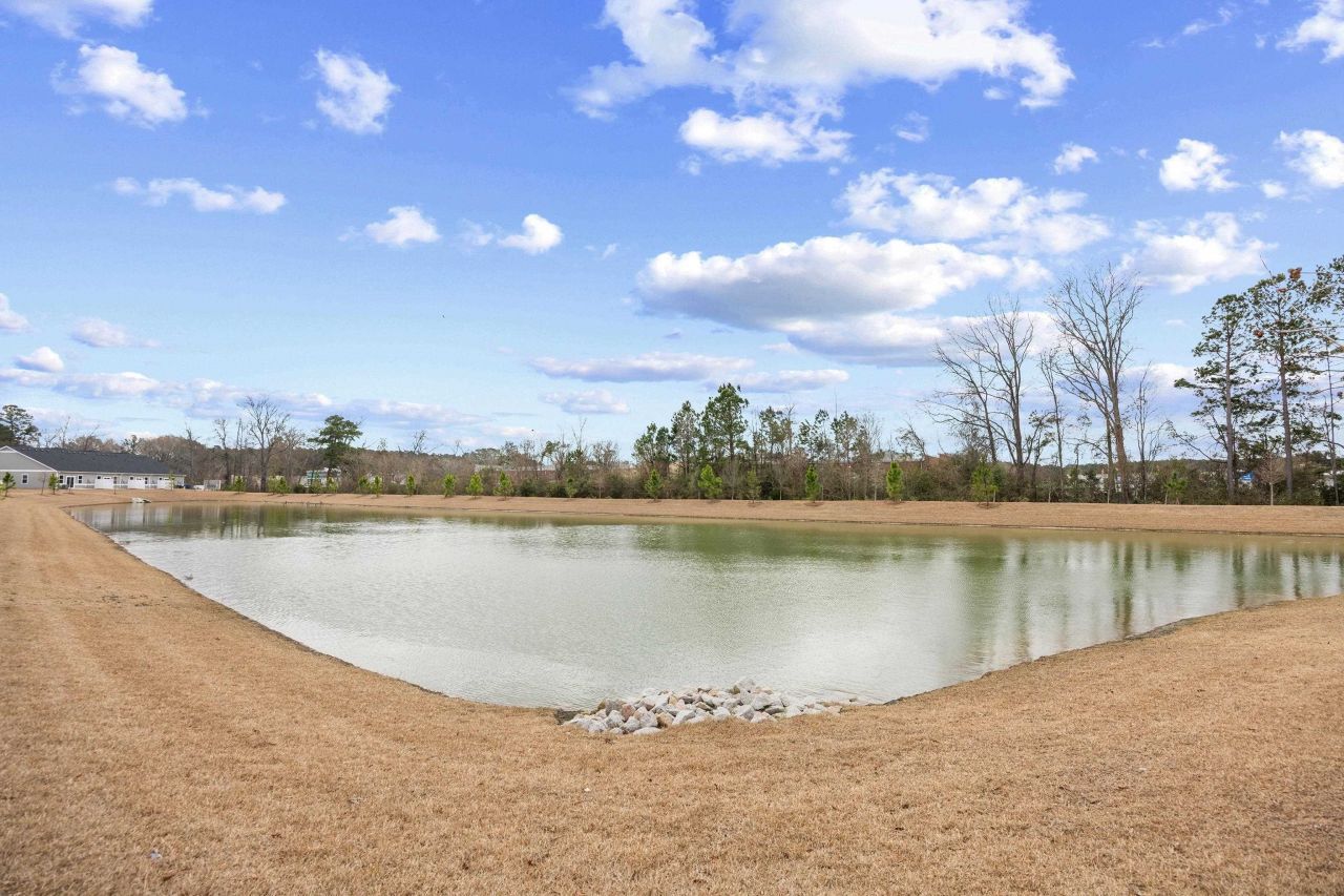 1141 Blueback Herring Way Photo 38