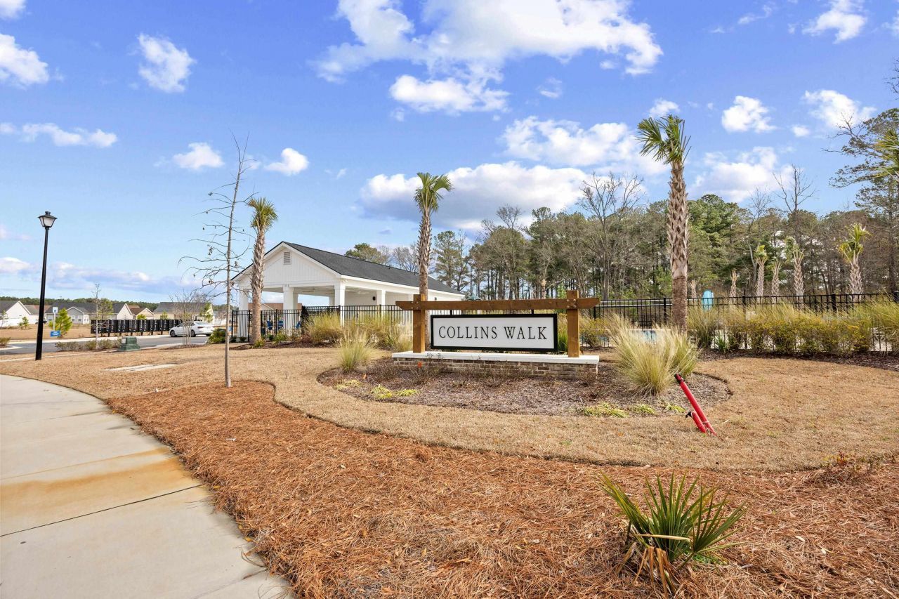 1141 Blueback Herring Way Photo 42