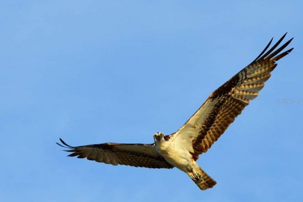 391 N Gulf Boulevard, Placida, FL 33946 Photo