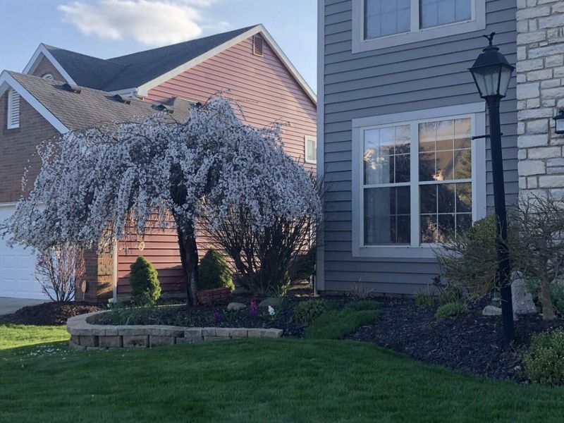 4977 Britton Farms Court, Hilliard, OH 43026 Photo 103