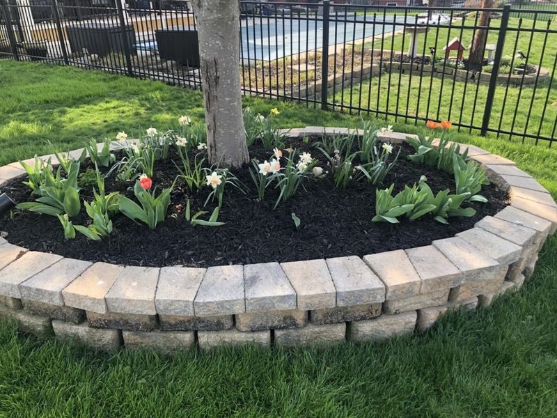 4977 Britton Farms Court, Hilliard, OH 43026 Photo 109