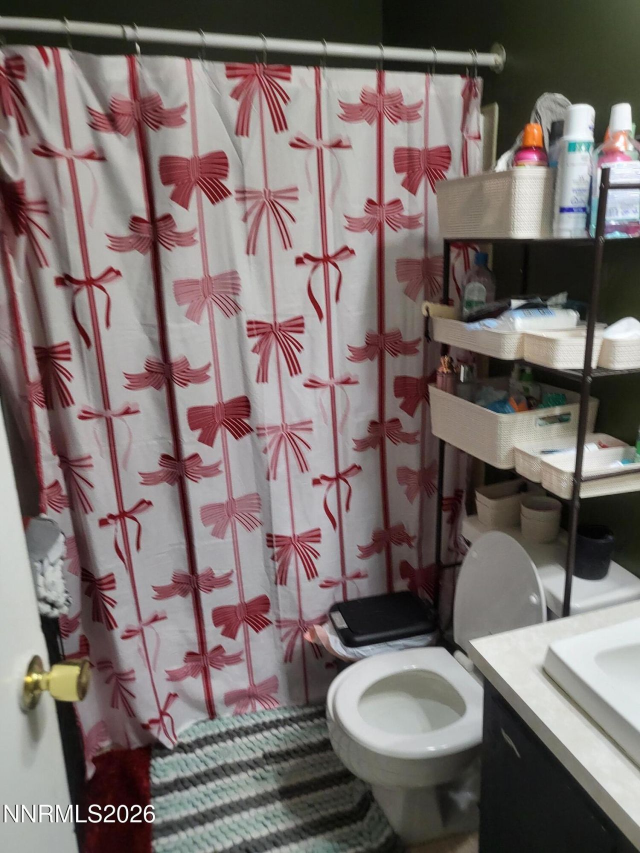 319 Lee Street, Carson City, NV 89706 Photo