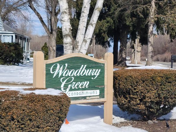 41276 N Woodbury Green Drive, Belleville, MI 48111