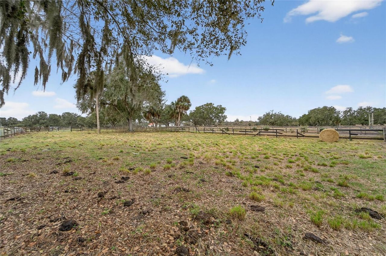 2181 E Trapnell Road, Plant City, FL 33566 Photo