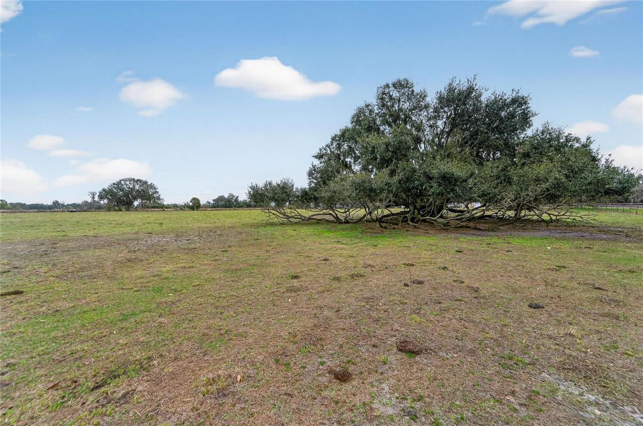 2181 E Trapnell Road, Plant City, FL 33566 Photo