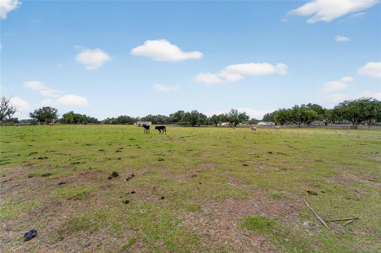 2181 E Trapnell Road, Plant City, FL 33566 Photo