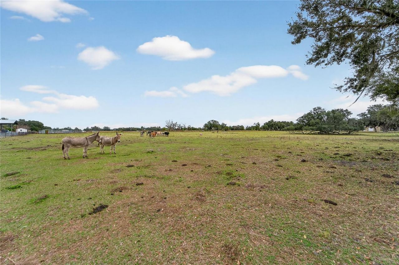 2181 E Trapnell Road, Plant City, FL 33566 Photo