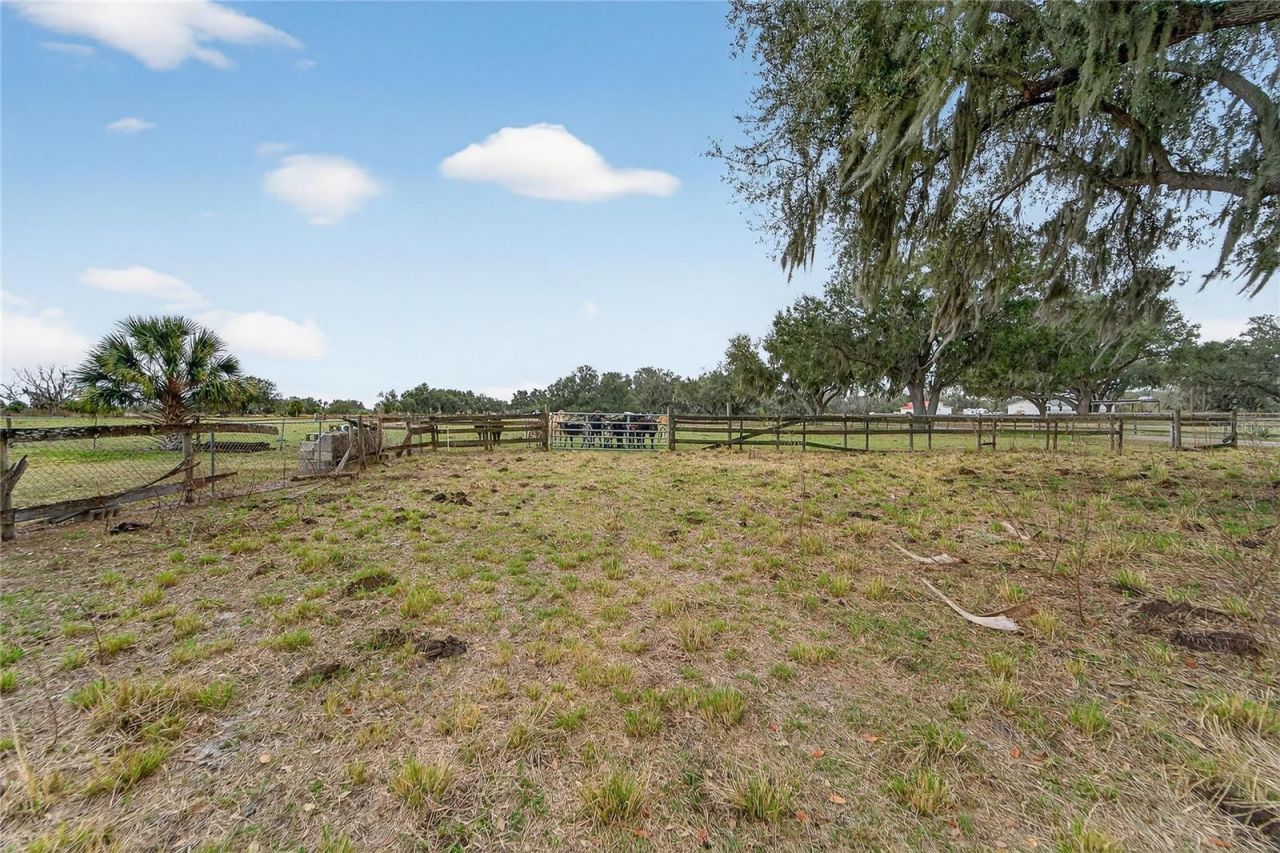 2181 E Trapnell Road, Plant City, FL 33566 Photo