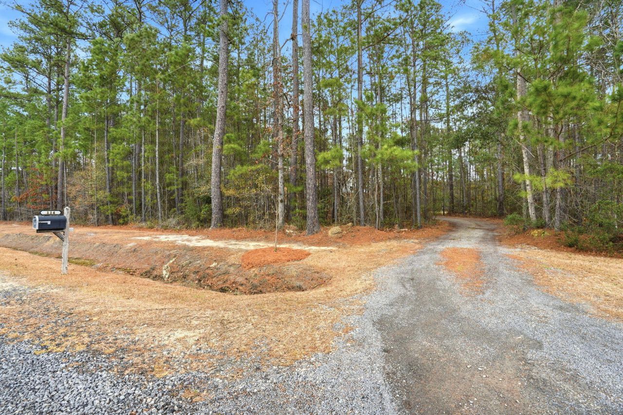 114 Autumn Creek Trail Photo 53