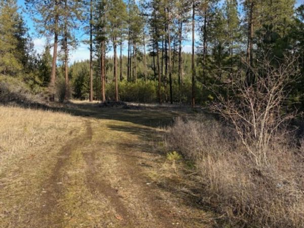 441x S Hwy 231 parcel # 2463200, Springdale, WA 99173